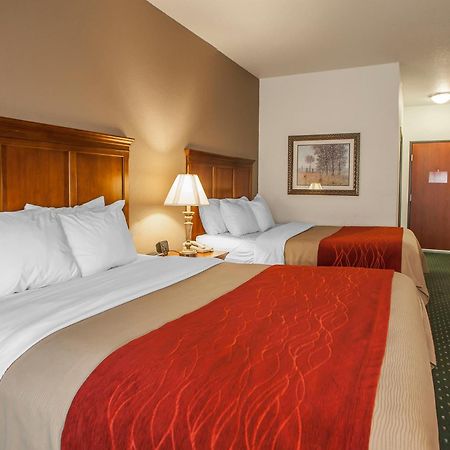 Comfort Inn & Suites Davenport - Quad Cities Luaran gambar